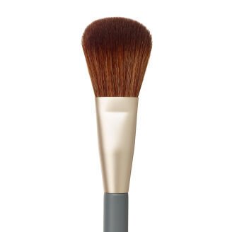 Powder Complexion Brush